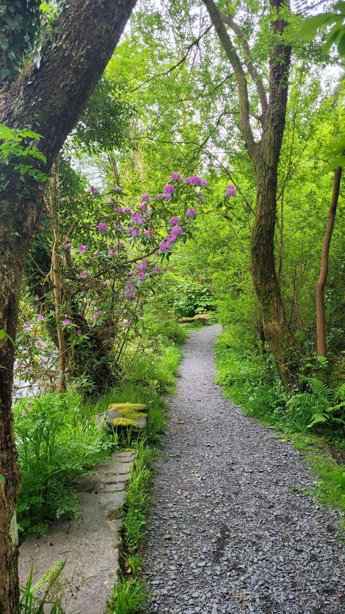 The Granary Corris On The Edge Of The Dyfi Forest Exterior photo